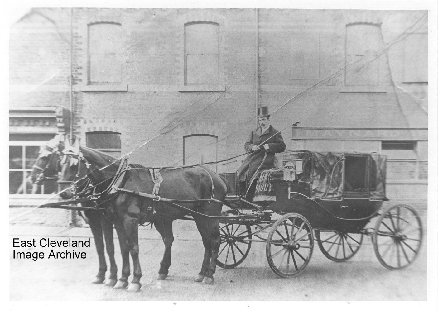 Horse and Carriage in Carlin How